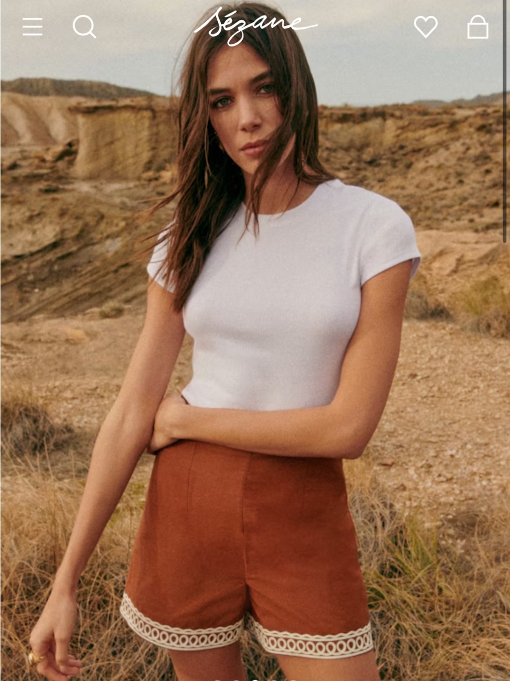 Sezane Nick Shorts High-Rise Embroidered Shorts - Brown